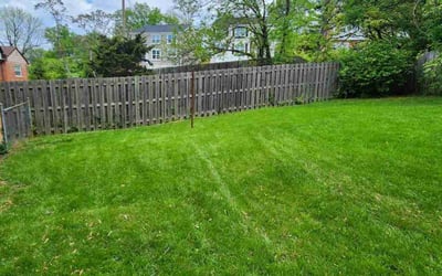 Photo of Deanna D.'s yard after getting lawn care in Dayton, KY