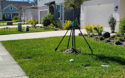 Photo of Edward O.'s yard after getting lawn care in Parrish, FL