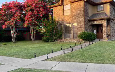 Photo of Rachel L.'s yard after getting lawn care in Wheaton, IL