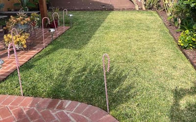 Photo of Rick Y.'s yard after getting lawn care in Rancho Palos Verdes, CA