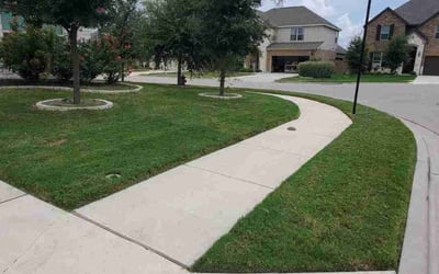 Photo of Zachary K.'s yard after getting lawn care in Woodburn, OR