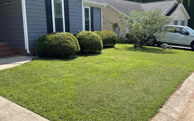Photo of Dallas B.'s yard after getting lawn care in Harlingen, TX