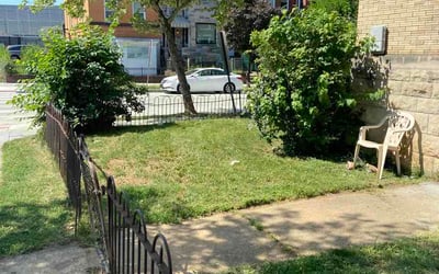 Photo of Ryan M.'s yard after getting lawn care in Hopewell Junction, NY