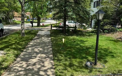 Photo of Rhonda J.'s yard after getting lawn care in Richton Park, IL