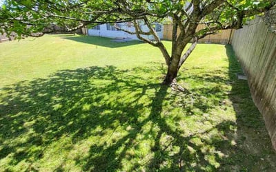 Photo of Ossie C.'s yard after getting lawn care in Kyle, TX