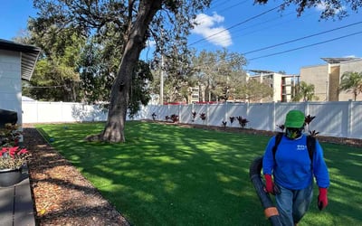 Photo of Peggy A.'s yard after getting lawn care in Bellflower, CA