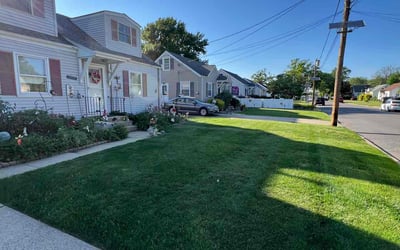 Photo of Viola M.'s yard after getting lawn care in East Brunswick, NJ