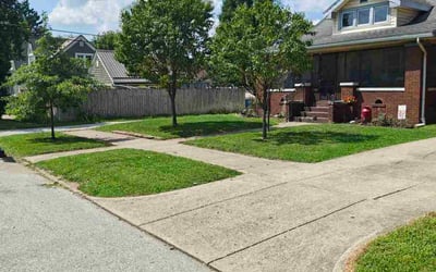 Photo of Starkita M.'s yard after getting lawn care in Knightdale, NC