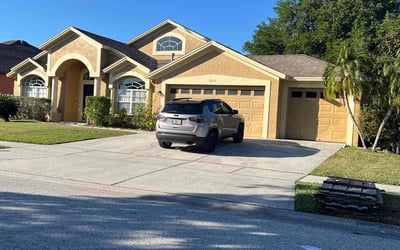 Photo of Rebecca G.'s yard after getting lawn care in Carrollwood, FL