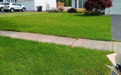 Photo of Doug W.'s yard after getting lawn care in Hilton, NY