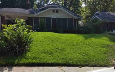 Photo of Kevin P.'s yard after getting lawn care in Memphis, TN