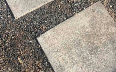 Photo of Jennifer C.'s yard after getting lawn care in Austin, TX