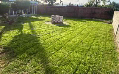 Photo of Sheryl R.'s yard after getting lawn care in Buena Park, CA
