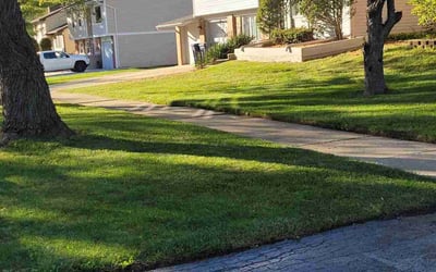 Photo of Jordan P.'s yard after getting lawn care in Antioch, CA