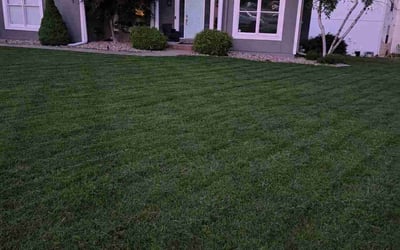 Photo of Evan J.'s yard after getting lawn care in Columbia, MO