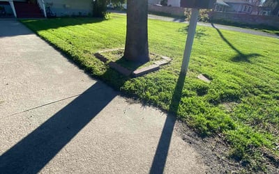 Photo of Keith N.'s yard after getting lawn care in Brentwood, CA