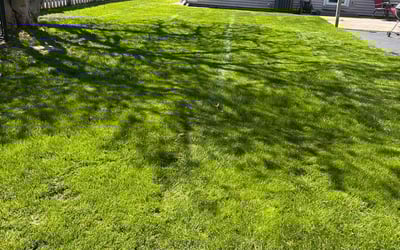 Photo of Tiffini B.'s yard after getting lawn care in Rolling Meadows, IL
