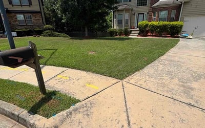 Photo of Christina T.'s yard after getting lawn care in Chicago Heights, IL
