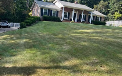 Photo of Hannah R.'s yard after getting lawn care in Greenville, SC
