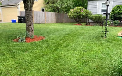 Photo of Abriana N.'s yard after getting lawn care in Lexington, MA