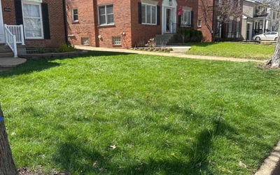 Photo of John A.'s yard after getting lawn care in Troy, IL