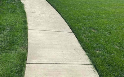 Photo of Daniel D.'s yard after getting lawn care in Versailles, KY