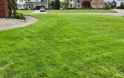 Photo of Alexander P.'s yard after getting lawn care in North Tonawanda, NY