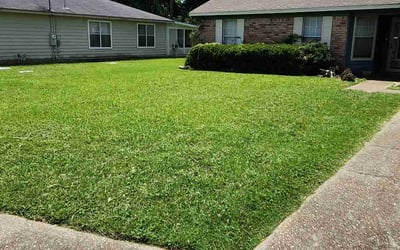 Photo of Amy W.'s yard after getting lawn care in Bellview, FL