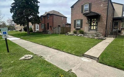 Photo of George T.'s yard after getting lawn care in Matteson, IL