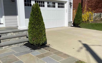 Photo of Albert B.'s yard after getting lawn care in Caldwell, ID