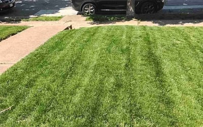 Photo of Thomas M.'s yard after getting lawn care in Marshfield, MO