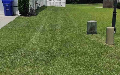 Photo of Mr J.'s yard after getting lawn care in North Charleston, SC