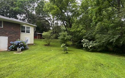 Photo of Carol T.'s yard after getting lawn care in Fairfield, AL