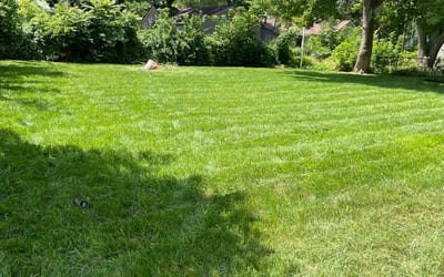 Photo of Steve G.'s yard after getting lawn care in Redford, MI