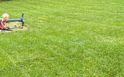 Photo of Bernadette E.'s yard after getting lawn care in Country Club Hills, IL