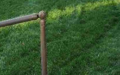 Photo of Joye B.'s yard after getting lawn care in Lowell, MA