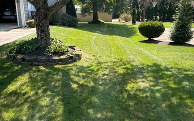 Photo of James F.'s yard after getting lawn care in Apollo, PA