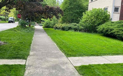 Photo of Mauricio A.'s yard after getting lawn care in Naples, FL