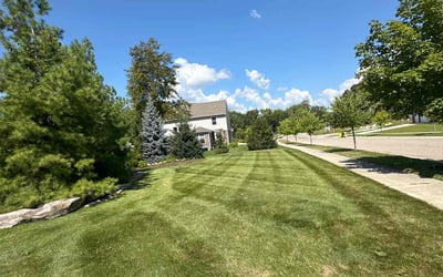 Photo of Tayler L.'s yard after getting lawn care in South Lyon, MI