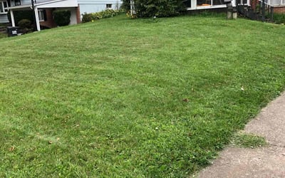 Photo of Phyllis G.'s yard after getting lawn care in Girard, OH