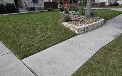 Photo of Adreyan C.'s yard after getting lawn care in Modesto, CA