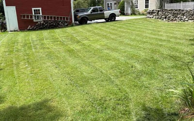 Photo of Carolyn A.'s yard after getting lawn care in Chester, VA