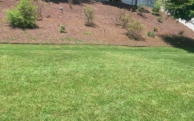 Photo of Michelle P.'s yard after getting lawn care in Schaumburg, IL