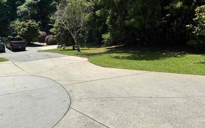 Photo of Candace D.'s yard after getting lawn care in Waltham, MA