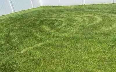 Photo of Kellee D.'s yard after getting lawn care in Country Club Hills, IL
