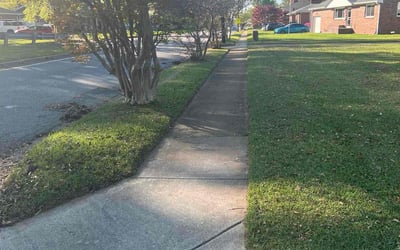 Photo of Mark S.'s yard after getting lawn care in Norfolk, VA