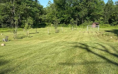 Photo of Irene H.'s yard after getting lawn care in Brunswick, ME