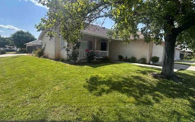 Photo of Amanda P.'s yard after getting lawn care in Henderson, KY