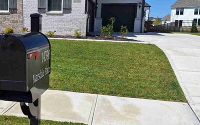 Photo of Leah T.'s yard after getting lawn care in Carmel, IN