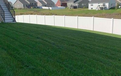 Photo of Sue T.'s yard after getting lawn care in Rosemount, MN